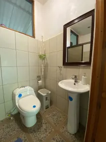 Bungalow style house, 5 min from the beach and close to Corcovado National Park. - Image 4