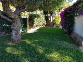 CASA LOLA - Image 4