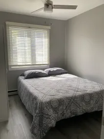Blue Heron Cottage is cozy & convenient.  Renovated March 2023! - Image 3