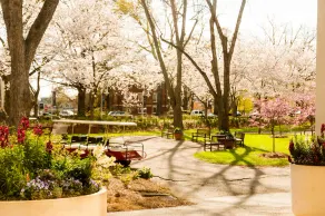 The University of Georgia Center for Continuing Education & Hotel - Image 5