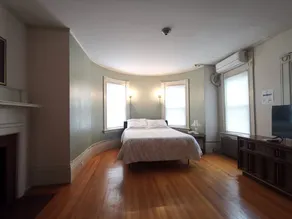 DTWN 1 BDR Apt, free parking, walk to WPI, Palladium, MCPHS - Image 4