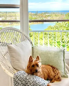 'SEAVIEW' - Stunning Coastal Views, Opposite Shaws Bay, Pet Friendly, Sleeps 4 - Image 2