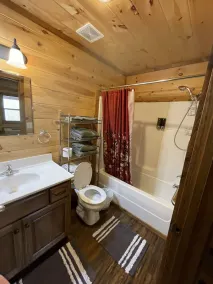 Cozy Cabin on the edge of town only 1/2 mile from Current River ! - Image 3