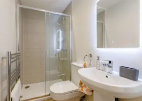 Fully Accessible-Disabled Adapted-Hot Tub-Pets - Image 2