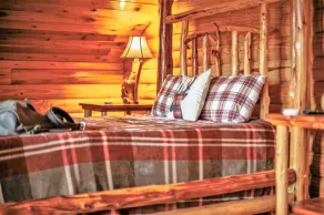 Private & Secluded Yatesville Lake Cabin Rental, Lakeview, Wifi, Kayaks, Arcade! - Image 4
