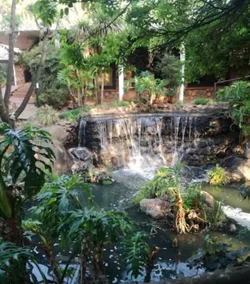 Shonalanga Valley Resort - Image 4
