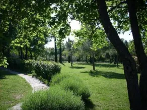 Casa / villa / chalet - Montegabbione - Image 2