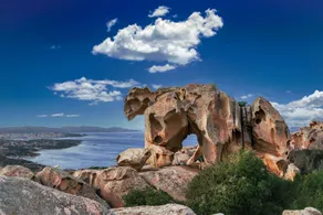 Sandy Bear Guesthouse - Happy Rentals - Image 3