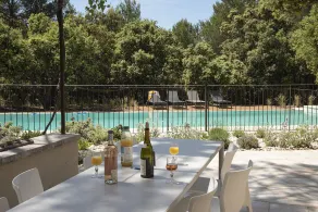 Architect-designed  villa in Provence ! swimming -pool. - Image 5