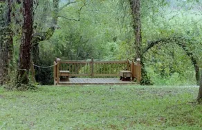 Urso Cabin Necessidade Log - Trout Pond, Cachoeira - Image 4
