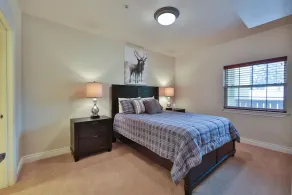 Alpine View Haus on Main - Bavarian Themed Condo - Image 5