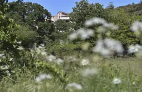 Ferie i det sydlige Ardeche i et smukt gammelt stenhus - Image 5