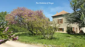 B & B historier om engle / Apple Chamber of Tulin - Image 3