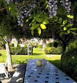 Stil Mar Anna 300 m from the sea Salted swimming pool, garden, private terrace in Léscala - Image 4
