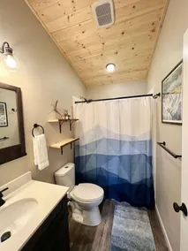 Denali cabin. New build! 2 bed 1 bath with large deck - Image 4