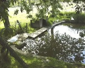 300 Yr Old Breton bondehus i rolige beliggenhed med opvarmet swimmingpool - Image 2