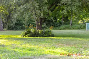 Ruhige Nachbarschaft, für Vogel-Liebhaber - Image 4