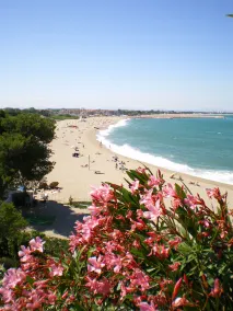 Gite du Couchant - Image 4