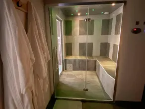 Loft industriel avec Spa, Sauna et Hammam en Touraine – Jardin clos et équipements haut de gamme - FR-1-381-559 - Image 3