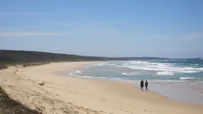 Architect Designed Beach House & the Best Views in Dalmeny !! - Image 4