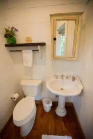 Tranquil Treehouse Cottage, King Bed, River View - Image 2