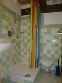 Maximum deceleration, detached house on a large plot - Image 3