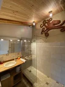 Renovated wine cellar in the heart of nature - Image 2