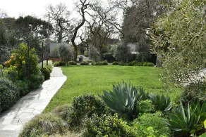 Blue Sky Cottage! Freshly Renovated & Lovely with Gardens in Sunny Central Marin - Image 5