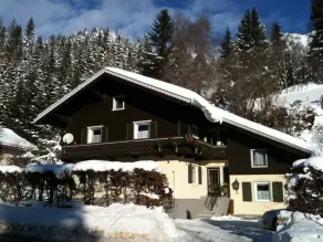 Chalet en Leogang, apartamento Birnhorn con gran espacio habitable y 2 dormitorios - Image 5