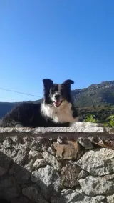 Corsica Balagne House - Image 2