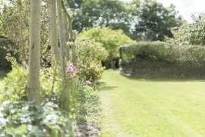 The Snug - lovely one bedroomed cottage - Image 5