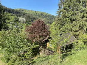 A paradise of greenery - Image 5