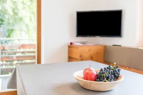Apartamento 'Melisse Thalerhof' com vista para a montanha, Varandas e Wi-Fi - Image 2
