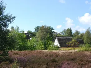 Doppelhaushälfte in Vitte auf Hiddensee - Image 5