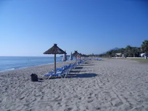 Spacious ground floor of a villa with shaded terraces, quiet, close to the beaches - Image 4