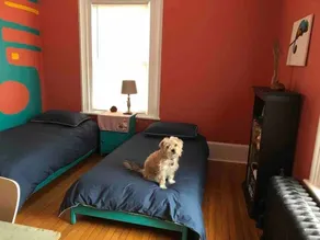 Spacious Egleston Sq 3 Bedroom, Dog Friendly - Image 5