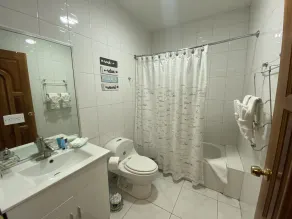 Spacious Kingston Business district Executive Condo - Image 4