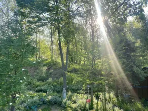 Wild Divine Sanctuary: Yoga + Nature + Zen - Image 2