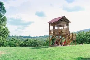 Getaway Log Cabin Mtn View 4 bedroom + Treehouse - Image 3