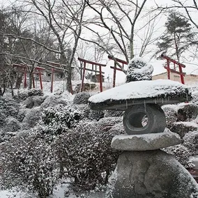 Kappo Ryokan Magohachi - Image 4