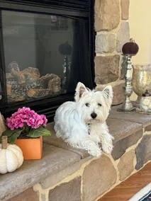 Charming Cottage in Private Lake Community (Pet-Friendly!) - Image 3