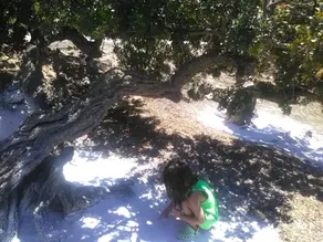Παραδοσιακός Ξενώνας Χρυσηίς - Image 3