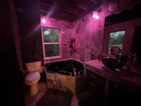Loveshack, a charming tiny house on a 5 acre farm - Image 5