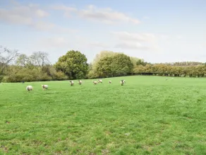 Farmhouse Garden Shepherds Hut - Image 5