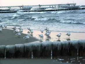 **550m to the Baltic Sea beach** - Elfi - Elfi - Image 4