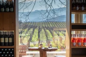 Pacheca The Wine House Hotel e Spa - Quinta da Pacheca - Image 5