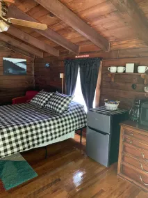 Maggie Valley Cabin off the Blue Ridge Pkwy. - Image 4