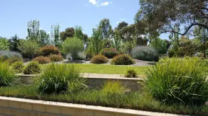Farm Stay Erfahrung - Image 5