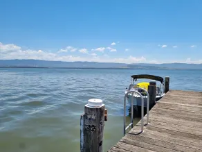 Blue Beach House - dog friendly. Walk to  Beach, lake. Fish surf swim SUP dive - Image 2