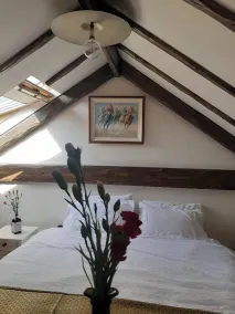 Homerez - Appartement à Galway, centre-ville. - Image 1